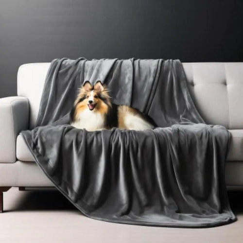 couverture polaire grise sur un canapé gris avec un chien couché dessus