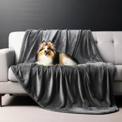 couverture polaire grise sur un canapé gris avec un chien couché dessus