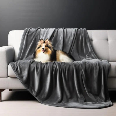 couverture polaire grise sur un canapé gris avec un chien couché dessus